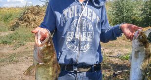Отчёт по рыбалке на реке Или
