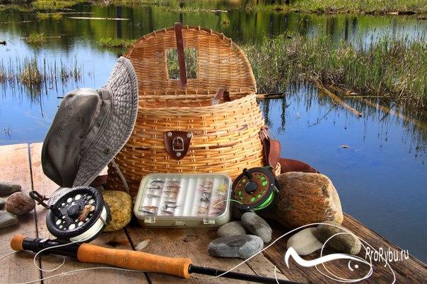 Снасти для весенней рыбалки на плотву