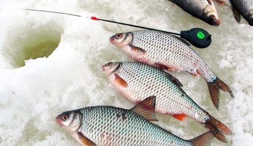 Ловля рыбы на мормышку - советы, способы и особенности рыбалки на мормышку