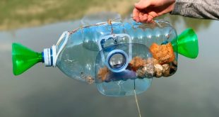 ловля рыбы пластиковой бутылкой