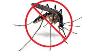 борьба с комарами средства
