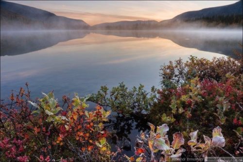 какая рыба водится в озере имандра. Смотреть фото какая рыба водится в озере имандра. Смотреть картинку какая рыба водится в озере имандра. Картинка про какая рыба водится в озере имандра. Фото какая рыба водится в озере имандра