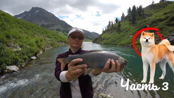 ВИДЕО: Поход на Озеро Тальмень 3 часть  Рыбалка на хариуса