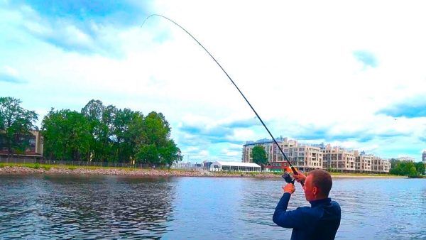 ВИДЕО: Рыбалка на фидер на Большой Невке