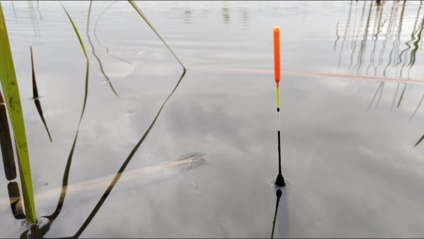 ВИДЕО: Рыбалка на поплавок весной. АКТИВНЫЙ клёв плотвы на мастырку