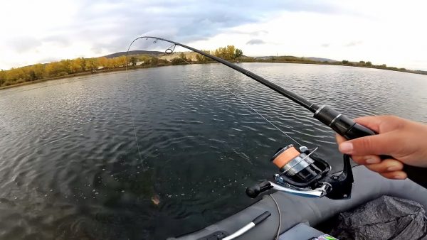 ВИДЕО: Рыбалка на щуку осенью в дождь, спиннинг 2019