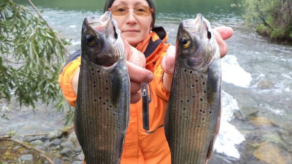 ВИДЕО: Сливаем самые рыбные места Алтая.  Рыбалка