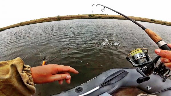 ВИДЕО: Спиннинг в пасмурную погоду, рыбалка на щуку в Августе