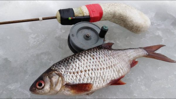 ВИДЕО: Зимняя ловля плотвы секреты рыбалки