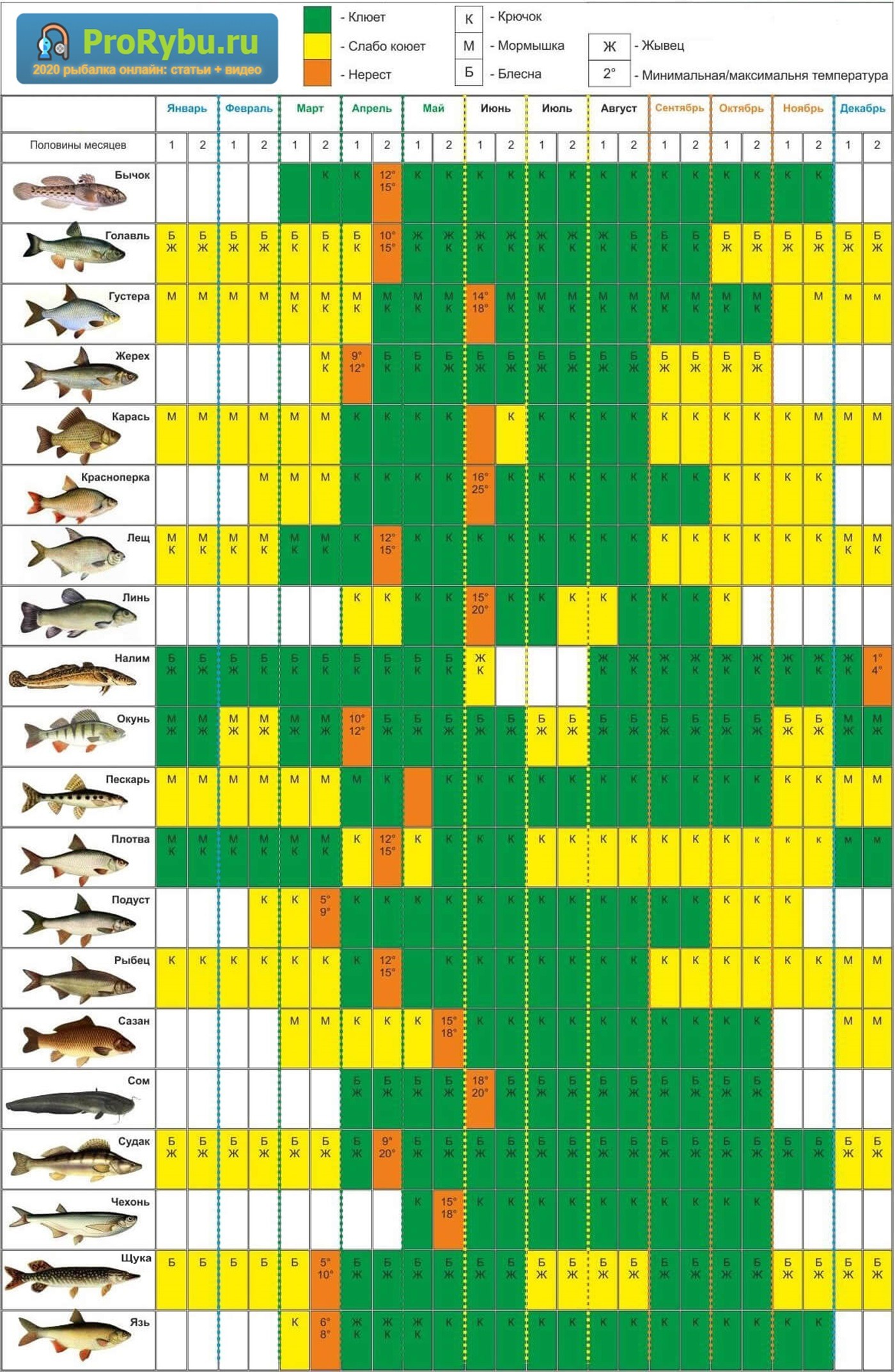 Лунный календарь рыболова на Январь 2024 – Клев мирной и хищной рыбы!