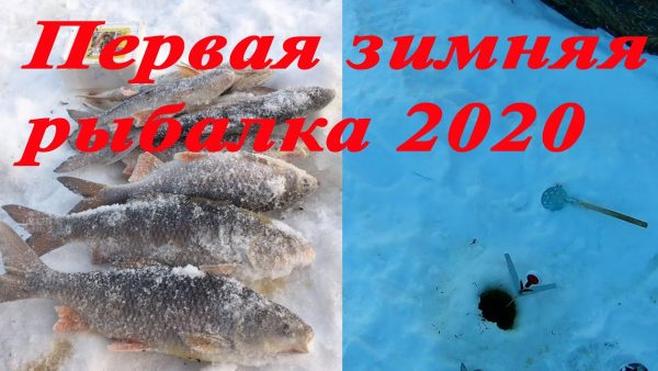 ВИДЕО: Первая зимняя рыбалка 2020 года. С новым годом!