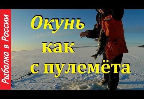Видео о рыбалке в Карелии: бесплатный просмотр
