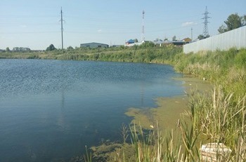 какая рыба водится в реке тулица. Смотреть фото какая рыба водится в реке тулица. Смотреть картинку какая рыба водится в реке тулица. Картинка про какая рыба водится в реке тулица. Фото какая рыба водится в реке тулица