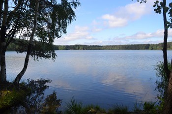 карта водоемов с рыбой в подмосковье. Смотреть фото карта водоемов с рыбой в подмосковье. Смотреть картинку карта водоемов с рыбой в подмосковье. Картинка про карта водоемов с рыбой в подмосковье. Фото карта водоемов с рыбой в подмосковье