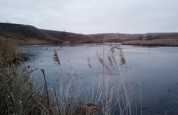 какая рыба водится в волге в ульяновске. Смотреть фото какая рыба водится в волге в ульяновске. Смотреть картинку какая рыба водится в волге в ульяновске. Картинка про какая рыба водится в волге в ульяновске. Фото какая рыба водится в волге в ульяновске