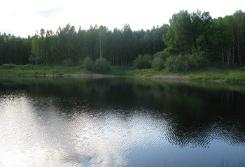 какая рыба водится в оке в орле. Смотреть фото какая рыба водится в оке в орле. Смотреть картинку какая рыба водится в оке в орле. Картинка про какая рыба водится в оке в орле. Фото какая рыба водится в оке в орле