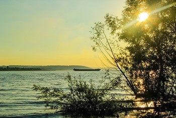 какая рыба водится в волге в ульяновске. Смотреть фото какая рыба водится в волге в ульяновске. Смотреть картинку какая рыба водится в волге в ульяновске. Картинка про какая рыба водится в волге в ульяновске. Фото какая рыба водится в волге в ульяновске