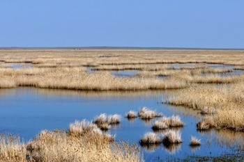 какая рыба водится в урале в орске. Смотреть фото какая рыба водится в урале в орске. Смотреть картинку какая рыба водится в урале в орске. Картинка про какая рыба водится в урале в орске. Фото какая рыба водится в урале в орске