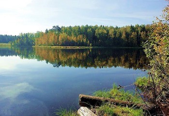 какая рыба водится в оке в орле. Смотреть фото какая рыба водится в оке в орле. Смотреть картинку какая рыба водится в оке в орле. Картинка про какая рыба водится в оке в орле. Фото какая рыба водится в оке в орле