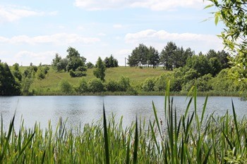 какая рыба водится в оке в орле. Смотреть фото какая рыба водится в оке в орле. Смотреть картинку какая рыба водится в оке в орле. Картинка про какая рыба водится в оке в орле. Фото какая рыба водится в оке в орле