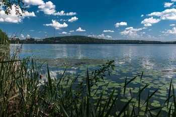 какая рыба ловится в тюмени. Смотреть фото какая рыба ловится в тюмени. Смотреть картинку какая рыба ловится в тюмени. Картинка про какая рыба ловится в тюмени. Фото какая рыба ловится в тюмени