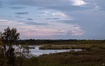 какая рыба водится в реке самарка в самарской области. Смотреть фото какая рыба водится в реке самарка в самарской области. Смотреть картинку какая рыба водится в реке самарка в самарской области. Картинка про какая рыба водится в реке самарка в самарской области. Фото какая рыба водится в реке самарка в самарской области