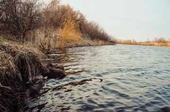 озера в воронежской области в которых можно половить рыбу