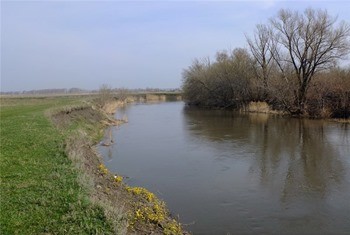 какая рыба водится в волге в ульяновске. Смотреть фото какая рыба водится в волге в ульяновске. Смотреть картинку какая рыба водится в волге в ульяновске. Картинка про какая рыба водится в волге в ульяновске. Фото какая рыба водится в волге в ульяновске