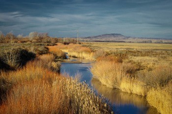 какая рыба водится в урале в орске. Смотреть фото какая рыба водится в урале в орске. Смотреть картинку какая рыба водится в урале в орске. Картинка про какая рыба водится в урале в орске. Фото какая рыба водится в урале в орске