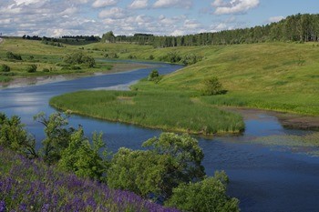 какая рыба водится в реке тулица. Смотреть фото какая рыба водится в реке тулица. Смотреть картинку какая рыба водится в реке тулица. Картинка про какая рыба водится в реке тулица. Фото какая рыба водится в реке тулица