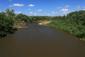 какая рыба водится в урале в орске. Смотреть фото какая рыба водится в урале в орске. Смотреть картинку какая рыба водится в урале в орске. Картинка про какая рыба водится в урале в орске. Фото какая рыба водится в урале в орске