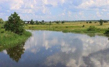 какая рыба водится в волге в ульяновске. Смотреть фото какая рыба водится в волге в ульяновске. Смотреть картинку какая рыба водится в волге в ульяновске. Картинка про какая рыба водится в волге в ульяновске. Фото какая рыба водится в волге в ульяновске