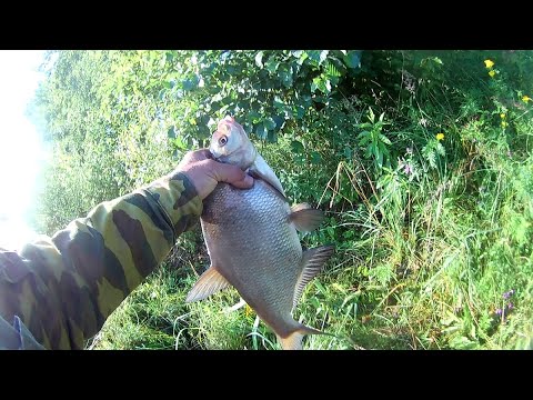 летняя рыбалка на течении видео