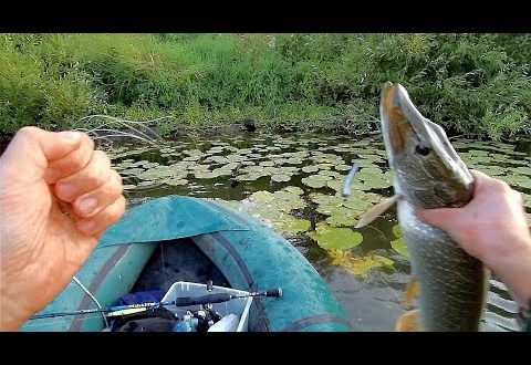 Рыбалка на щуку летом на спиннинг видео