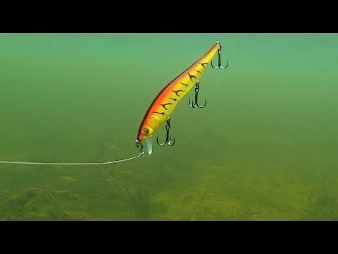 ВИДЕО: Как щуки атакуют воблеры под водой. Полный фильм