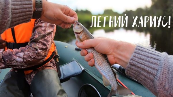 ВИДЕО: Отличная летняя рыбалка на хариуса / Cплав по реке