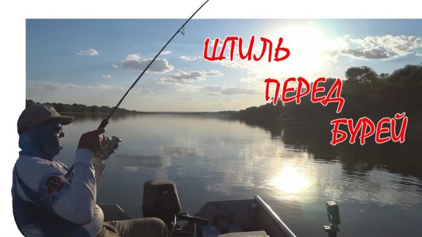 ВИДЕО: Рыбалка с Ночевкой на Реке Дон. Отпуск 2020 | #Vovabeer