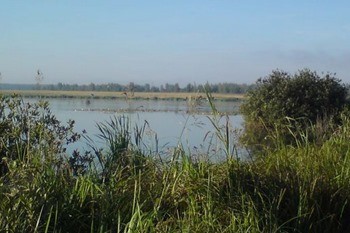 Озеро Искробольское фото