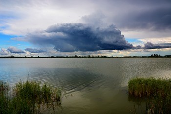 Озеро Кривское фото