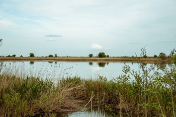 Озеро Таловатое фото