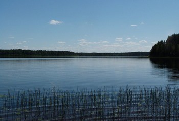 Озеро Терехово фото