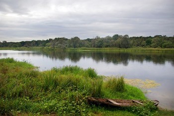 Река Воронеж фото