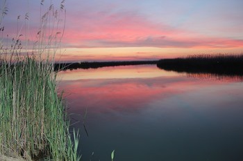 Река Маныч фото