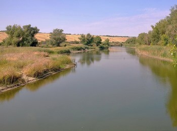 Река Чир фото