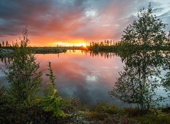 какая рыба водится в нарьян маре. Смотреть фото какая рыба водится в нарьян маре. Смотреть картинку какая рыба водится в нарьян маре. Картинка про какая рыба водится в нарьян маре. Фото какая рыба водится в нарьян маре