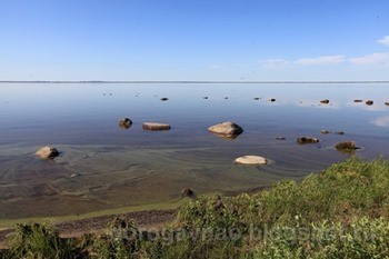 какая рыба водится в нарьян маре. Смотреть фото какая рыба водится в нарьян маре. Смотреть картинку какая рыба водится в нарьян маре. Картинка про какая рыба водится в нарьян маре. Фото какая рыба водится в нарьян маре