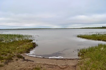 какая рыба водится в нарьян маре. Смотреть фото какая рыба водится в нарьян маре. Смотреть картинку какая рыба водится в нарьян маре. Картинка про какая рыба водится в нарьян маре. Фото какая рыба водится в нарьян маре