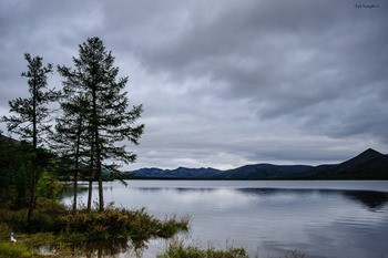 какая рыба водится в магаданской области. Смотреть фото какая рыба водится в магаданской области. Смотреть картинку какая рыба водится в магаданской области. Картинка про какая рыба водится в магаданской области. Фото какая рыба водится в магаданской области