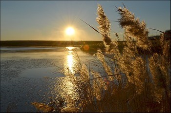 рыбалка в забайкалье и бурятии чите