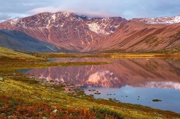 какая рыба водится в магаданской области. Смотреть фото какая рыба водится в магаданской области. Смотреть картинку какая рыба водится в магаданской области. Картинка про какая рыба водится в магаданской области. Фото какая рыба водится в магаданской области